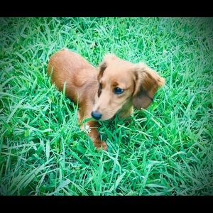 Meet your Posher, Mandy